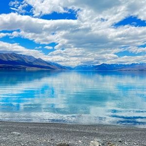 Meet your Posher, Dabsy!